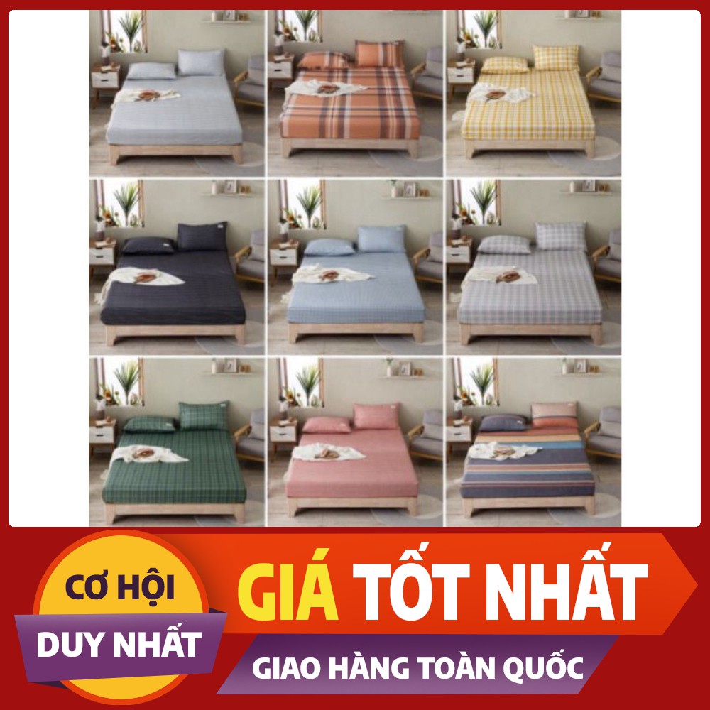 Ga gối cotton Tici kẻ mẫu mới nhất 2020