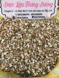 [FREESHIP 99K TOÀN QUỐC] Hoa trà thơm Bát Tiên