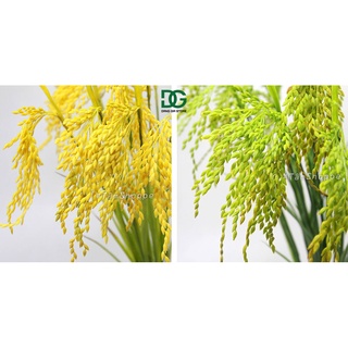 [ CAO CẤP - Y THẬT] Set 10 cành bông lúa giả trang trí 75cm