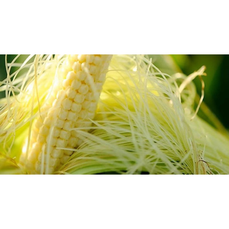 1kg ngô bao tử non ngâm rượu