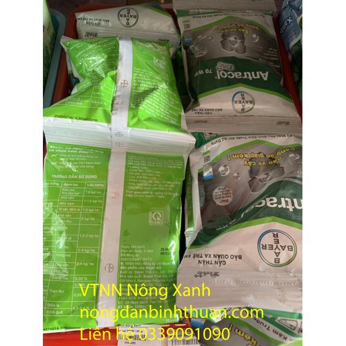 trừ bệnh thán thư - sương mai - đóm lá - antracol 70WP và 2 Lọ Gp01