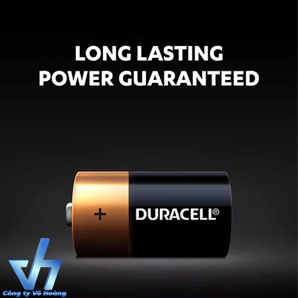 Vỉ 2 viên pin trung C Alkaline Duracell