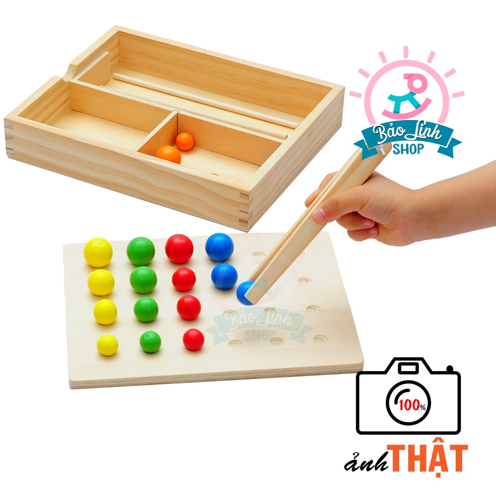 Giáo cụ Montessori 0-3 - Gắp bi gỗ cho bé tập gắp, phân loại màu sắc, to nhỏ