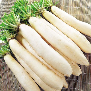 5g Hạt Giống Củ Cải Trắng (Raphanus sativus)