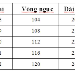 Áo thun Vương Nhất Bác - VloneV