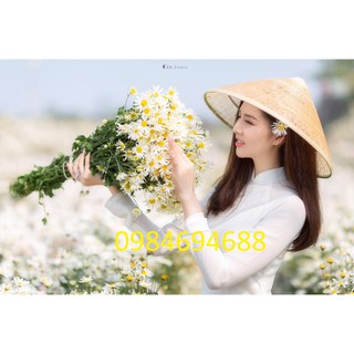 Nón mây tre đan rộng vành chụp ảnh