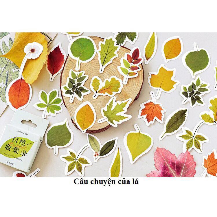 Sticker hộp - phần 3 - Room17vn