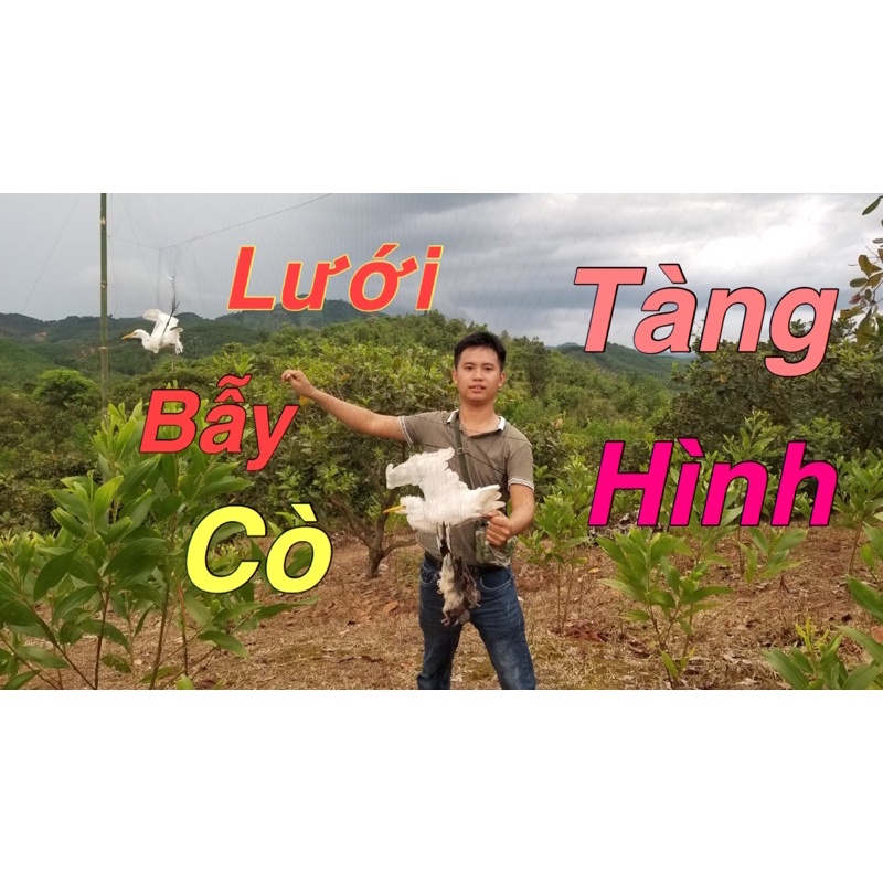 60m lưới tàng hình bắt chim cu.cò..mắt 8p cao6m 5 dây 4 túi