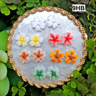 Hoa Sứ 5 cánh - Hoa  Bột Đính Móng 9HB