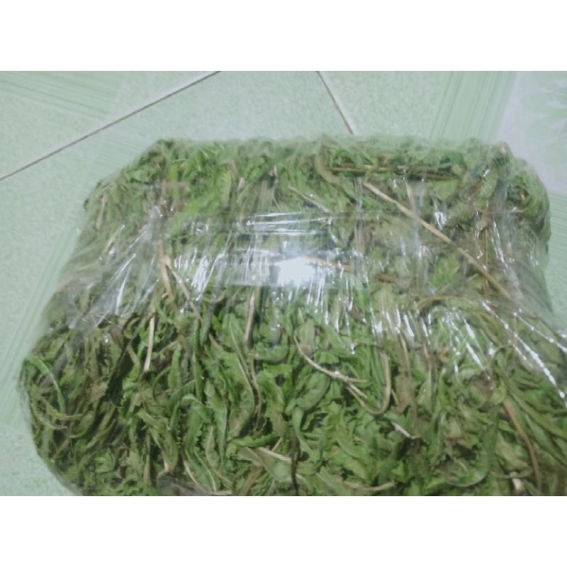 1kg cây dương xỉ khô