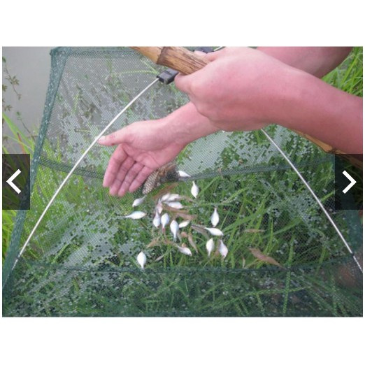 Vó đánh bắt tôm, cá hàng loại 1 y hình