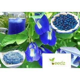 Gói 20 hạt  giống hoa đậu biếc VINMARK HẠT GIỐNG
