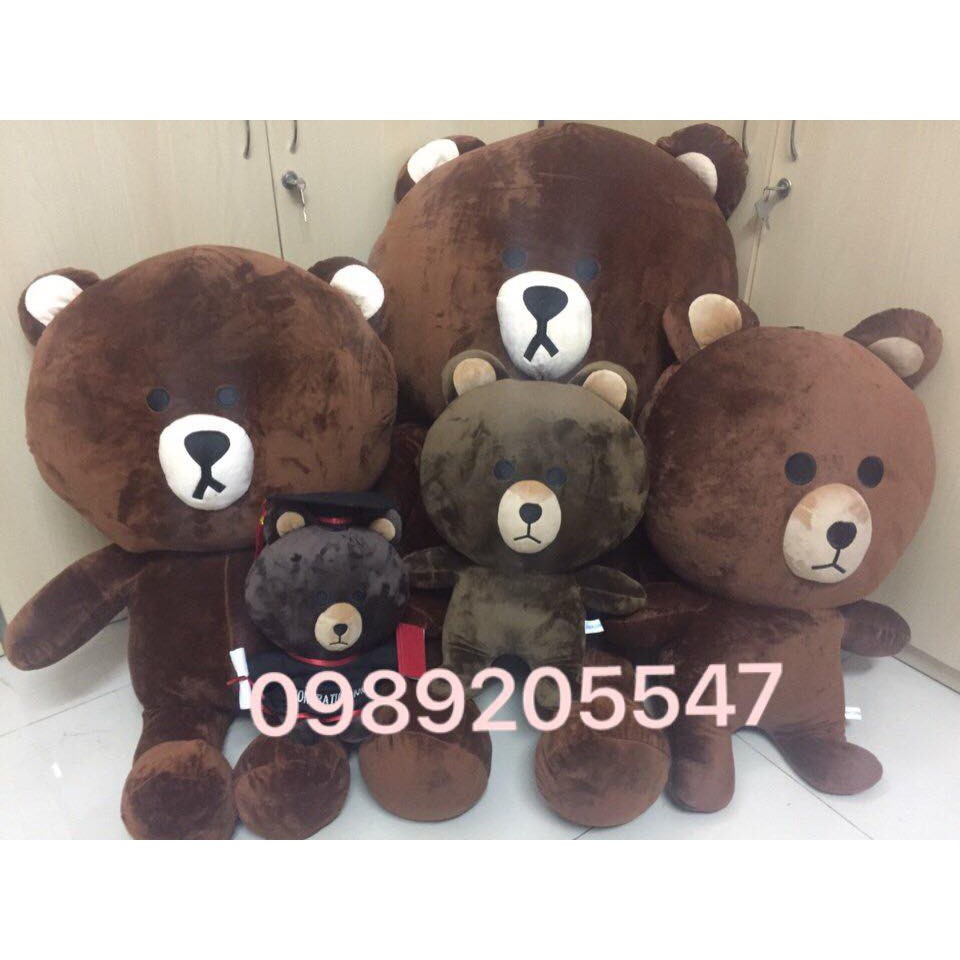 Gấu Brown size 1m giá rẻ