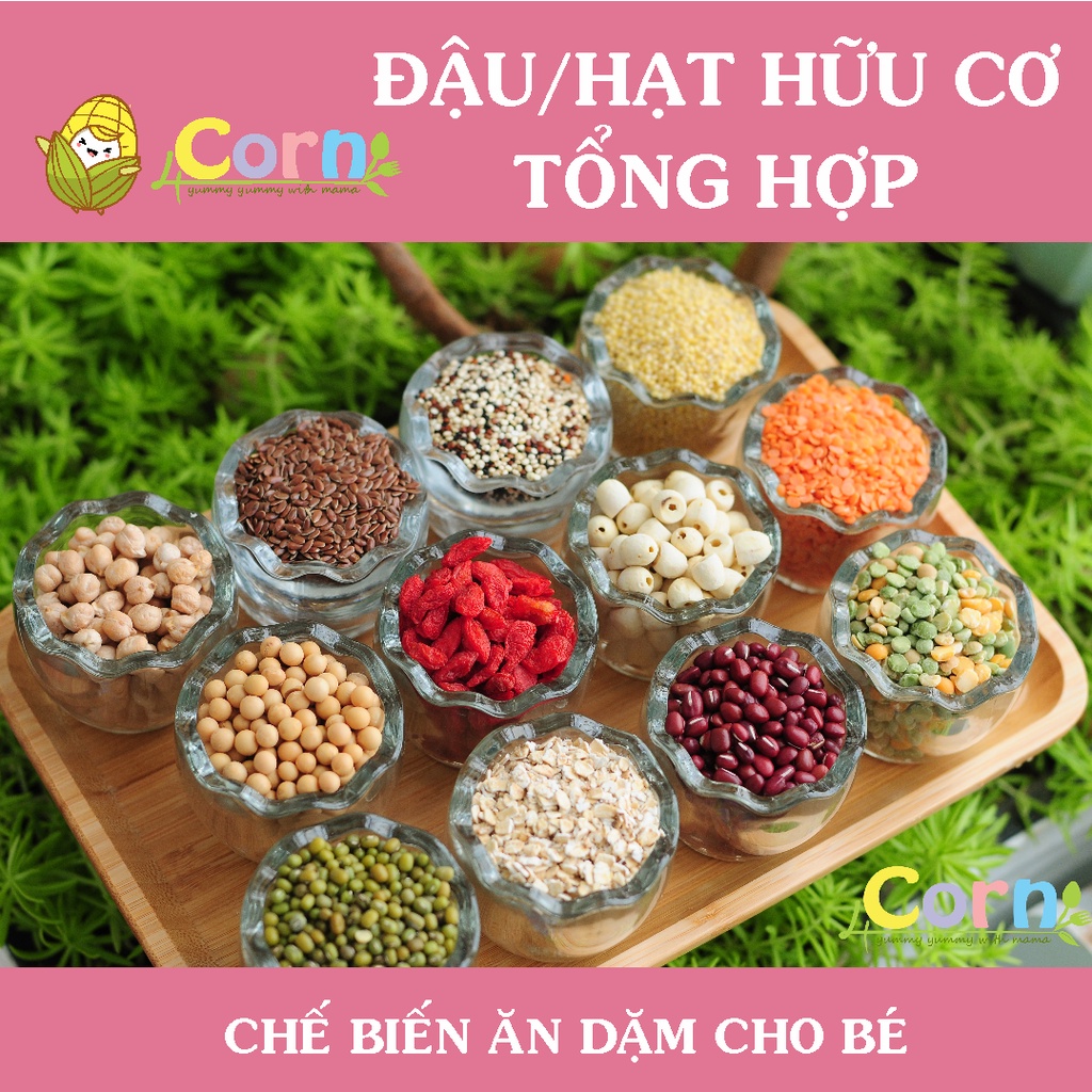 Các loại Đậu - Hạt hữu cơ cho bé ăn dặm (Hũ, Túi 50-250g)