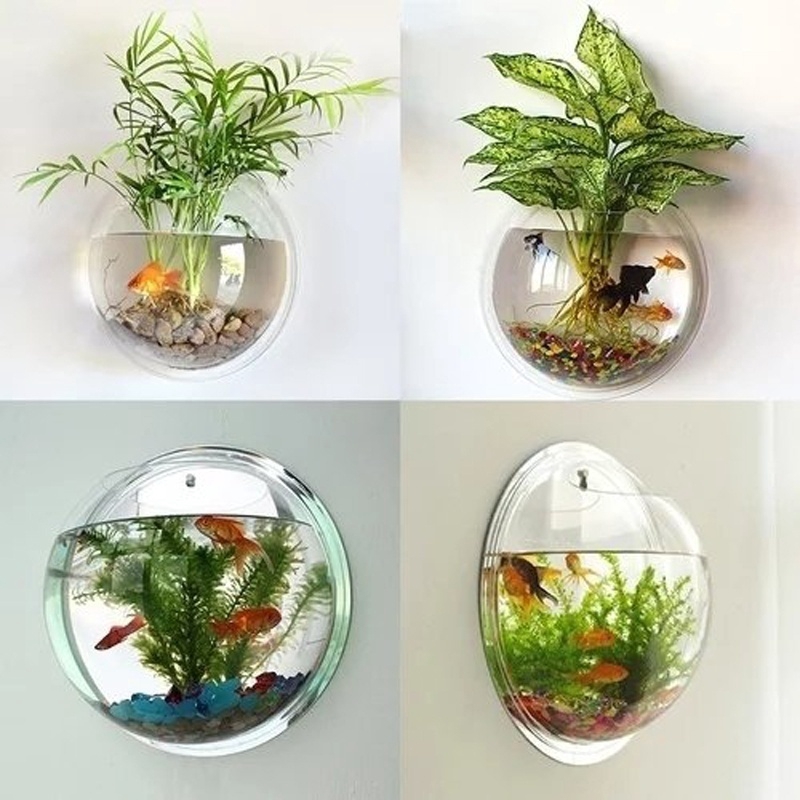 Bể Cá Treo Tường Bằng Acrylic Kiểu Dáng Mới Dùng Trang Trí Nhà Cửa