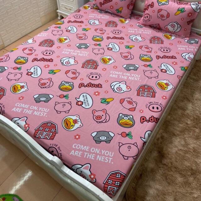 Ga chống thấm coton Hàn Quốc, thoáng mát