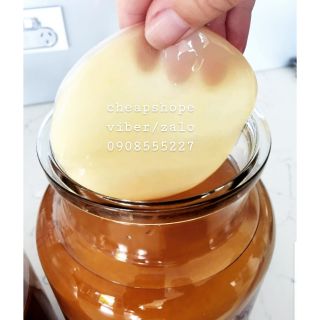 NẤM THỦY SÂM KOMBUCHA SIZE LỚN ( LÀM TRÀ VÀ NUÔI MEN TỰ NHIÊN SOURDOUGH LÀM BÁNH MÌ, BÁNH BAO) +TẶNG KÈM NƯỚC CỐT