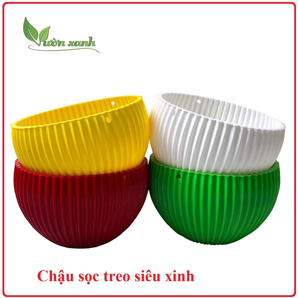 (Mẫu mới) Chậu treo Gân sọc siêu xinh trồng hoa kiểng ( chọn màu, kèm dây treo)