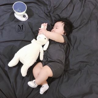 Cừu bông hàng xuất xịn cho bé