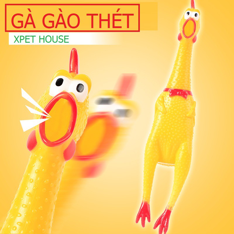 Gà gào thét, gà nhựa đồ chơi cho thú cưng