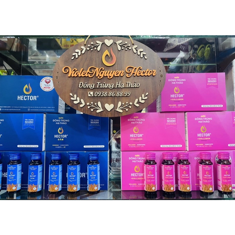 Nước ĐTHT Hector Sâm ( hộp 10 chai)