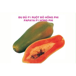 Hạt Giống Đu Đủ F1 Ruột đỏ Hồng Phi -10 hạt