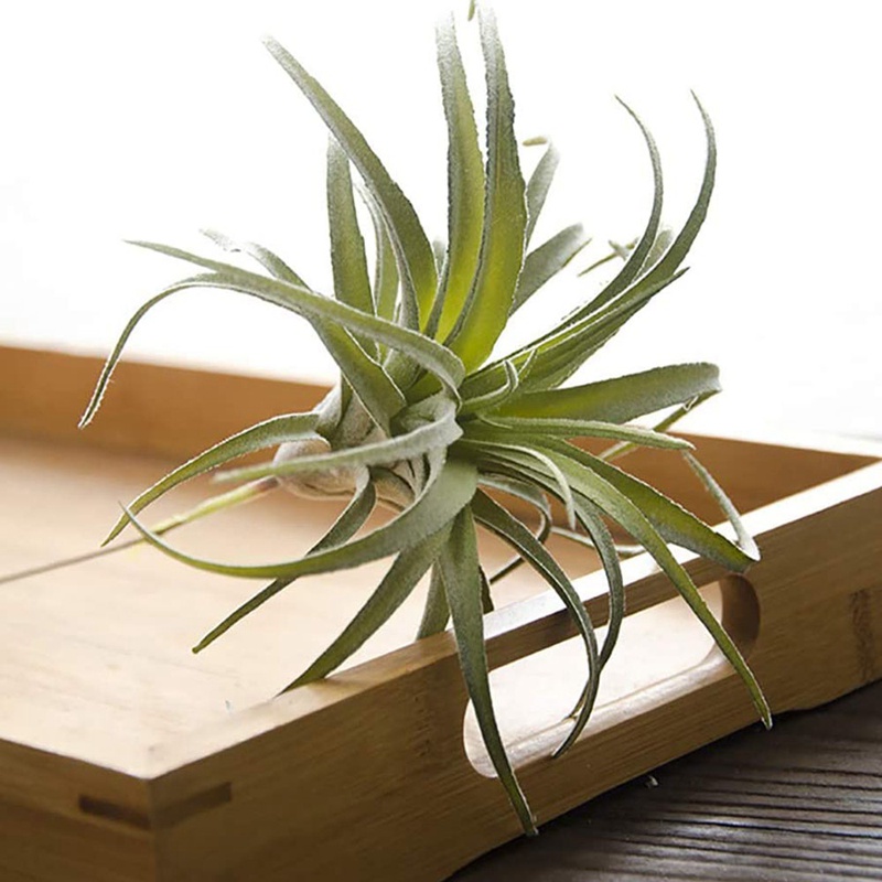 Bộ 4 Cây Dứa Giả Bằng Đồng Trang Trí Nhà Cửa Sân Vườn