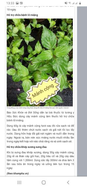Cây mảnh cộng
