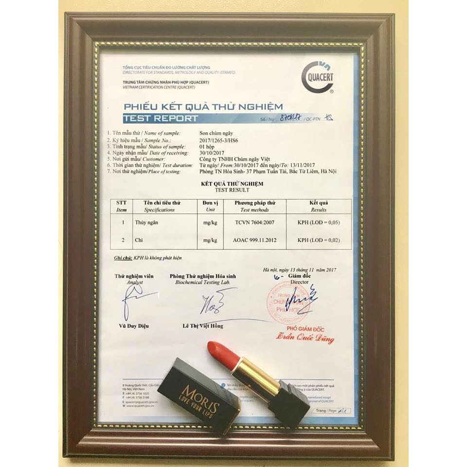 Son Màu Chùm Ngây Handmade [MoriS] | BigBuy360 - bigbuy360.vn