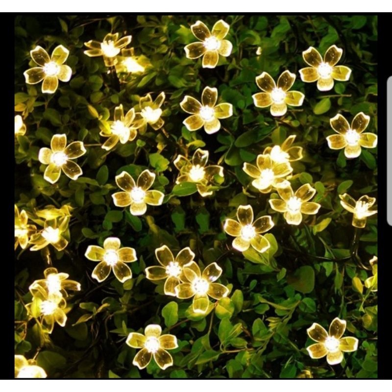 Dây Đèn Led Hoa Mai Hoa Đào Trang Trí Lễ, Tết ,Party, cây kiển siêu xinh