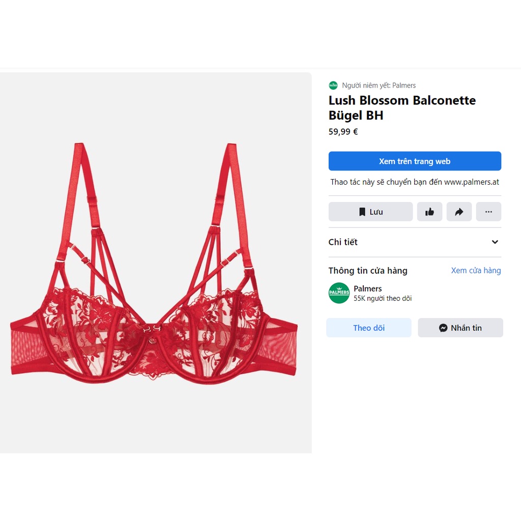 Áo ngực ren mỏng có gọng Palmers xuất Âu, 36C 38BCD