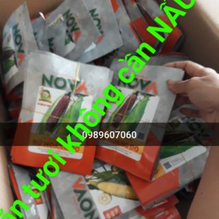 Giống bắp đỏ nữ hoàng ăn tươi không cần nấu gói 50 hạt