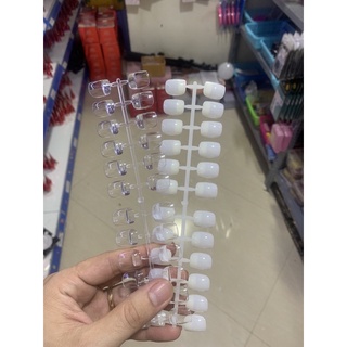 Móng Vỉ Phom Vuông Làm Mẫu Sơn,Vẽ