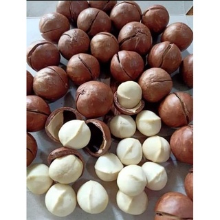 Hạt macca Đắc lắc loại 1, túi 500g