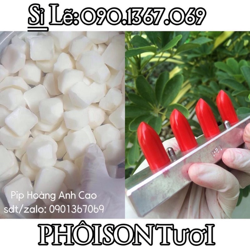 PHÔI LÀM SON SÁP LÌ