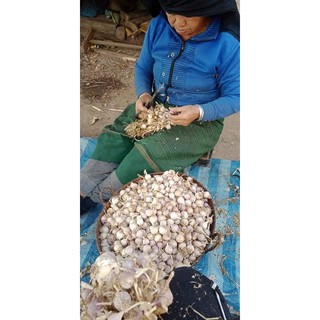 [Combo 2Kg] Tỏi đen HoShi loại 1