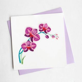 Combo phôi thiệp và dụng cụ làm quilling