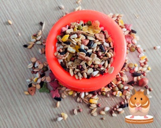 Thức ăn hải sản cho hamster