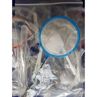 Combo Bộ Ấp Artemia Full Đồ
