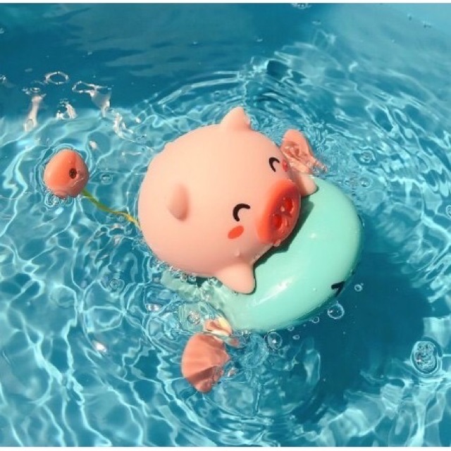Con lợn bơi trong nước và phun nước
