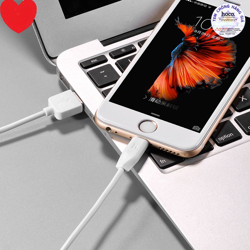 Cáp Sạc Nhanh HoCo X1 Cho IPChân Cắm