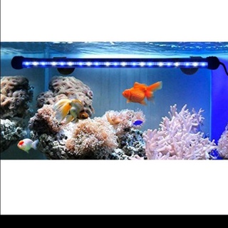 Image of Lampu LED Celup Aquarium T4 20Cm, 30Cm, 40Cm Aquascape