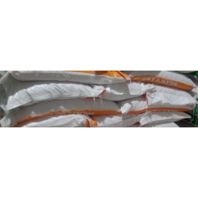 Nui Ngắn Vàng Song Long Bao 10kg