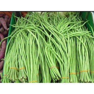 20GR - Hạt giống đậu đũa trái dài
