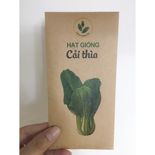 Hạt giống rau Cải thìa (10gram/bịch)