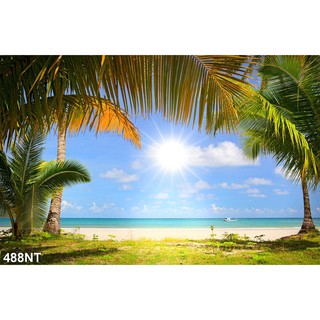 TRANH DÁN TƯỜNG 3D PHONG CẢNH BIỂN,BÃI BIỂN,THIÊN NHIÊN VỀ BIỂN.