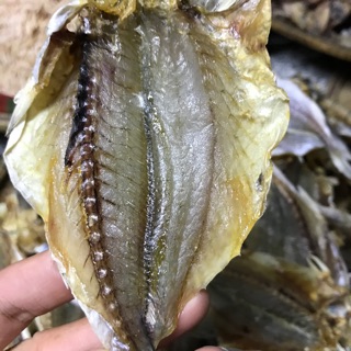 Khô cá đù xẻ
