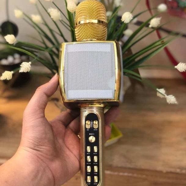 Mic hát karaoke 3in1 YS-91