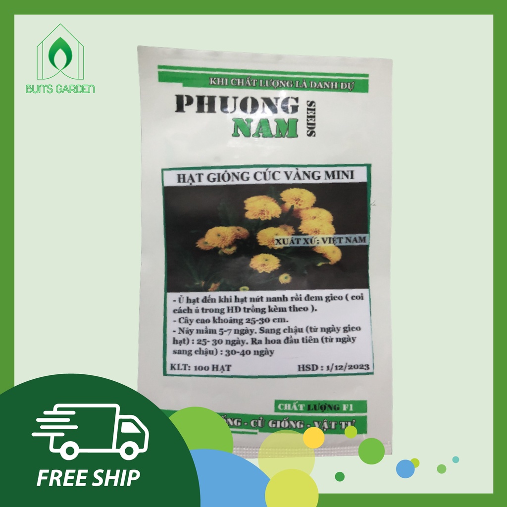 Hạt giống hoa cúc mini vàng - cúc chi - gói 100 hạt y hình