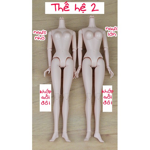 Cơ thể Xinyi thế hệ 2